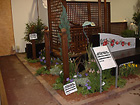 花博屋内展示：ＮＰＯみどりの風様01